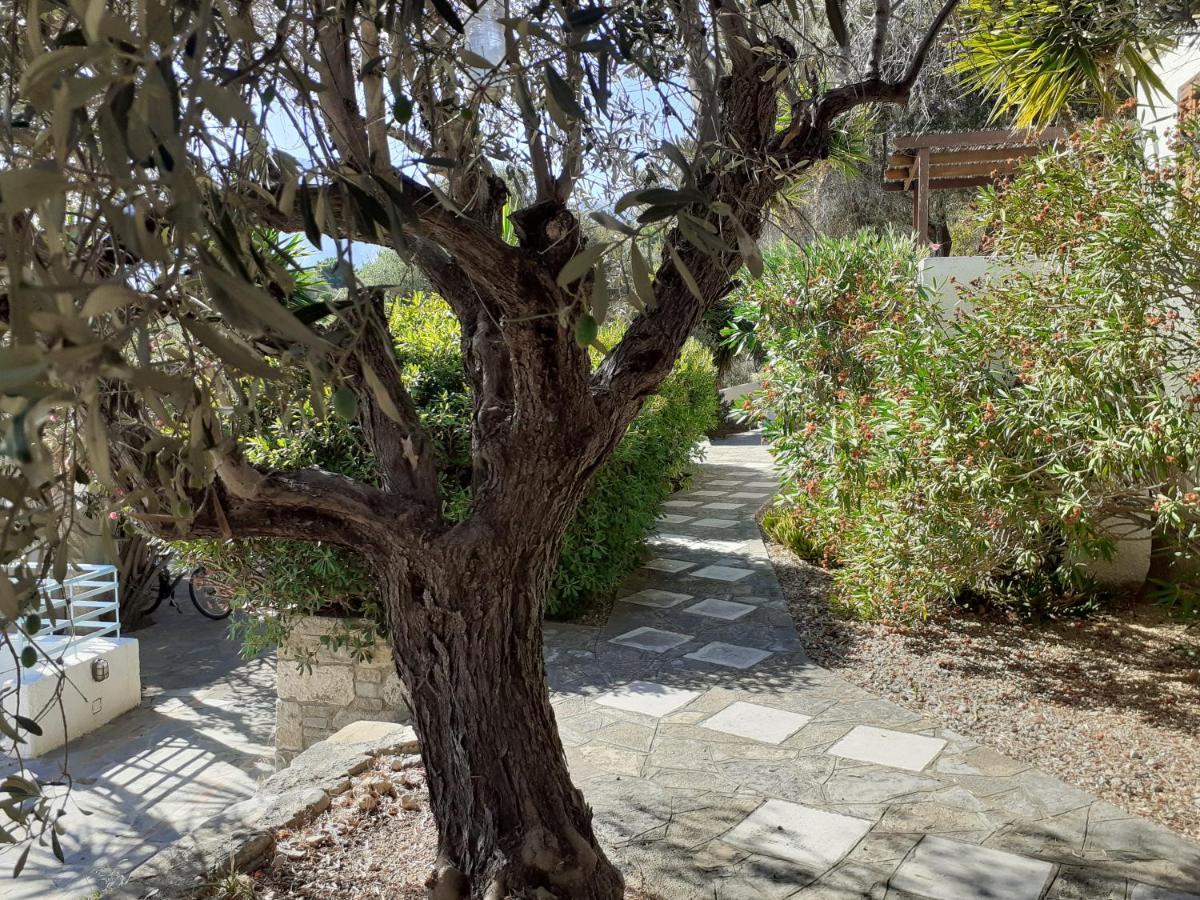 Villa Vigla-Βίγλα 1 2 à Ormos  Extérieur photo