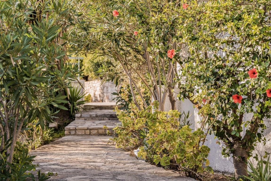 Villa Vigla-Βίγλα 1 2 à Ormos  Extérieur photo
