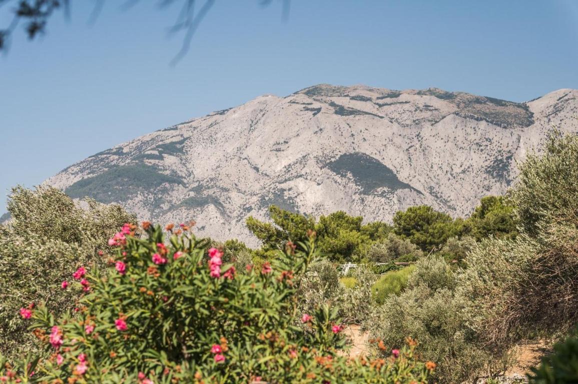 Villa Vigla-Βίγλα 1 2 à Ormos  Extérieur photo