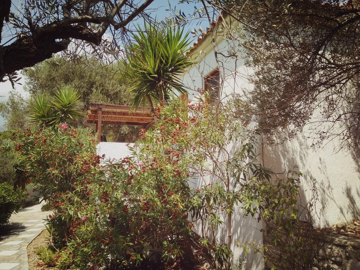 Villa Vigla-Βίγλα 1 2 à Ormos  Extérieur photo