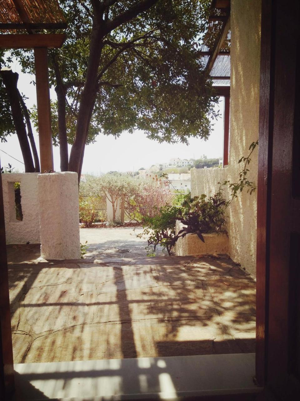 Villa Vigla-Βίγλα 1 2 à Ormos  Extérieur photo