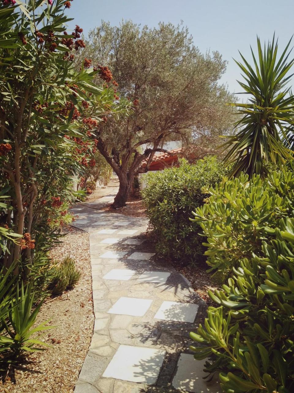Villa Vigla-Βίγλα 1 2 à Ormos  Extérieur photo