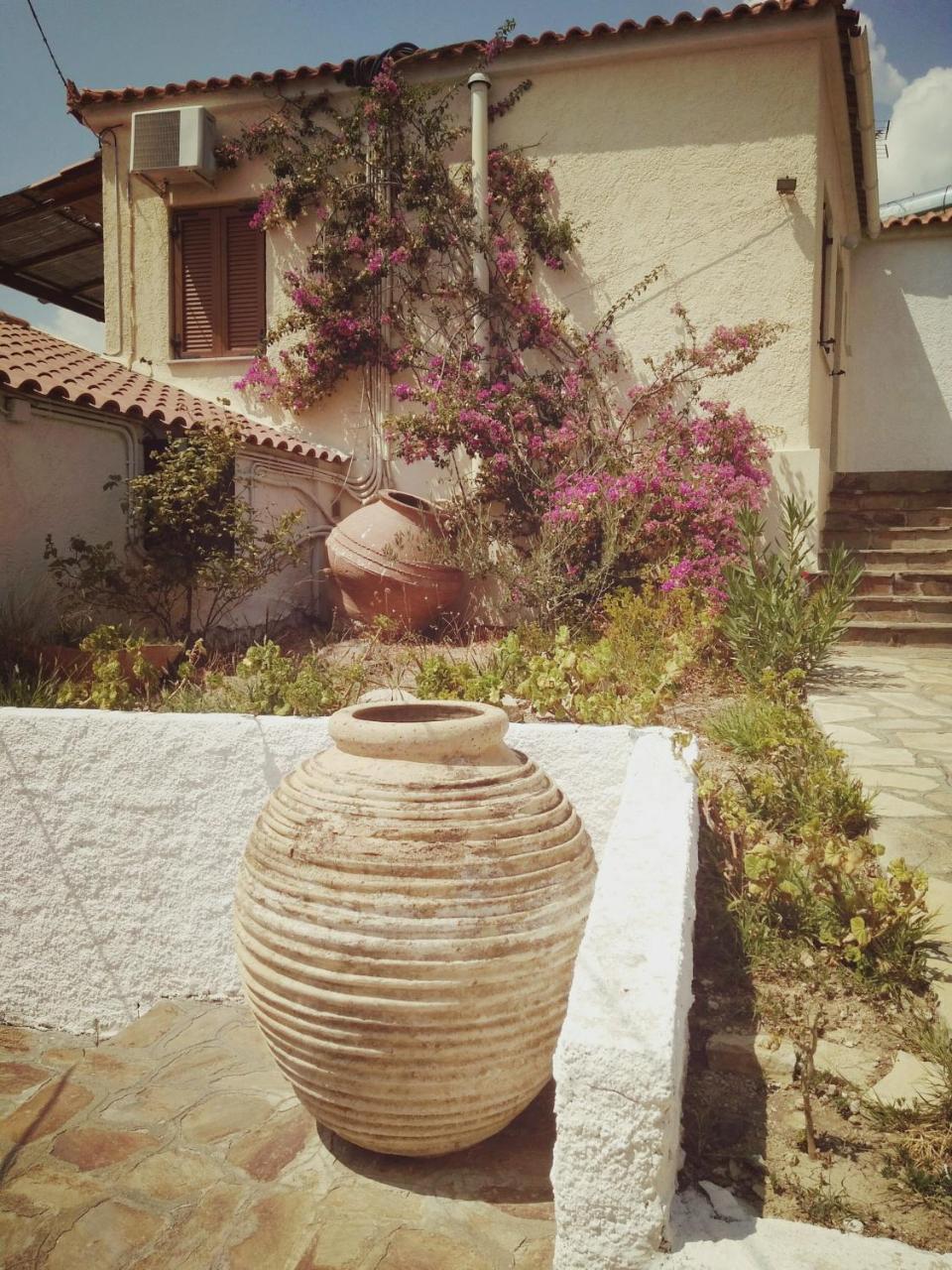Villa Vigla-Βίγλα 1 2 à Ormos  Extérieur photo